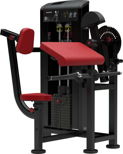 Biceps-Triceps Combo Machine