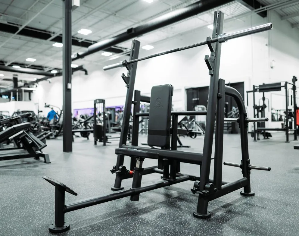 Shoulder Press (With Pivot)
