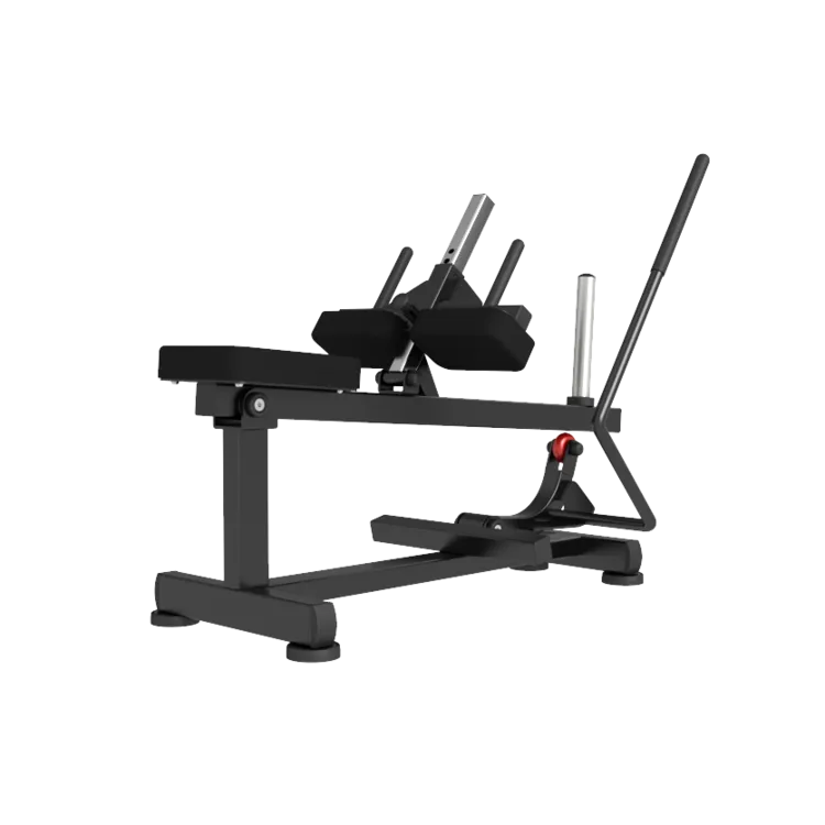 Seated Calf Raise