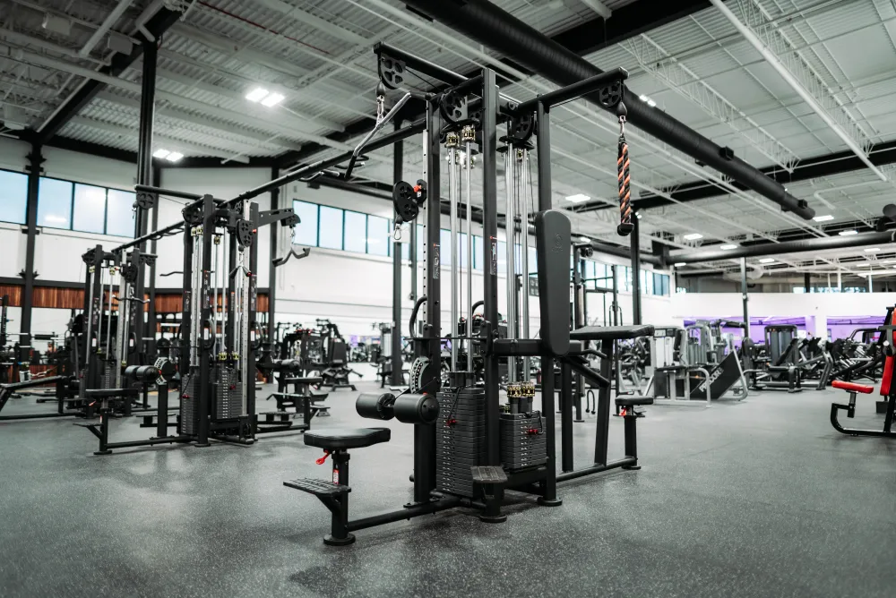 Lat Pulldown (Recoil)