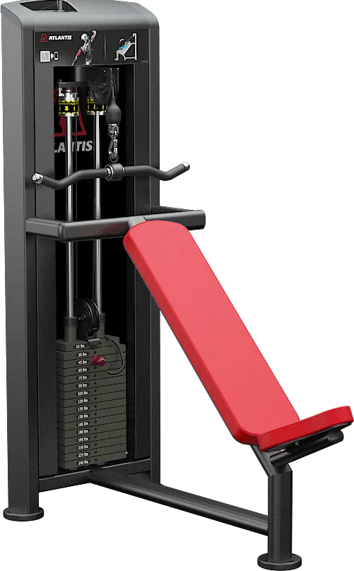 Incline Triceps Pushdown