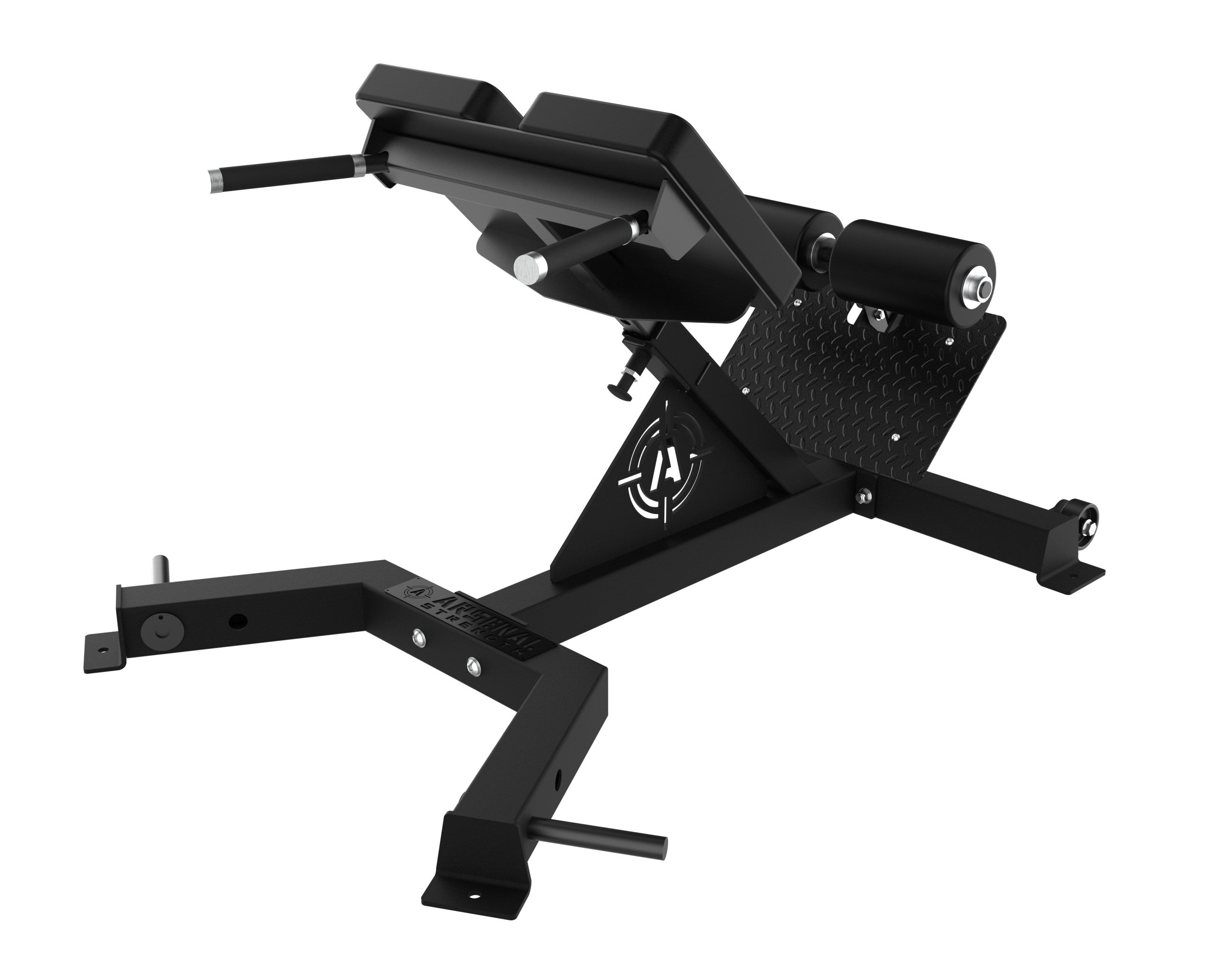 Alpha 45 Degree Back Extension