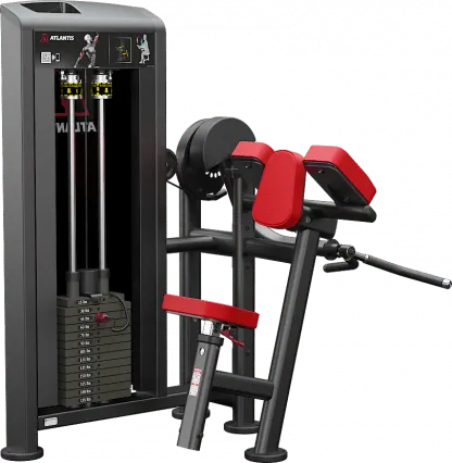 Biceps Curl