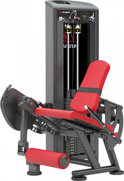 Leg Extension
