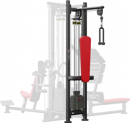Triceps Pulley
