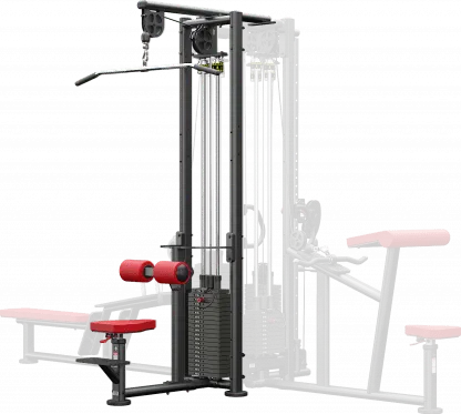 Lat Pulldown (D123 Model)