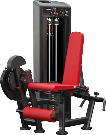 Leg Extension/Leg Curl Combo