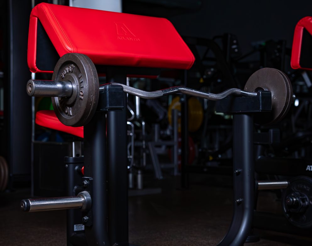 Seated Preacher Curl