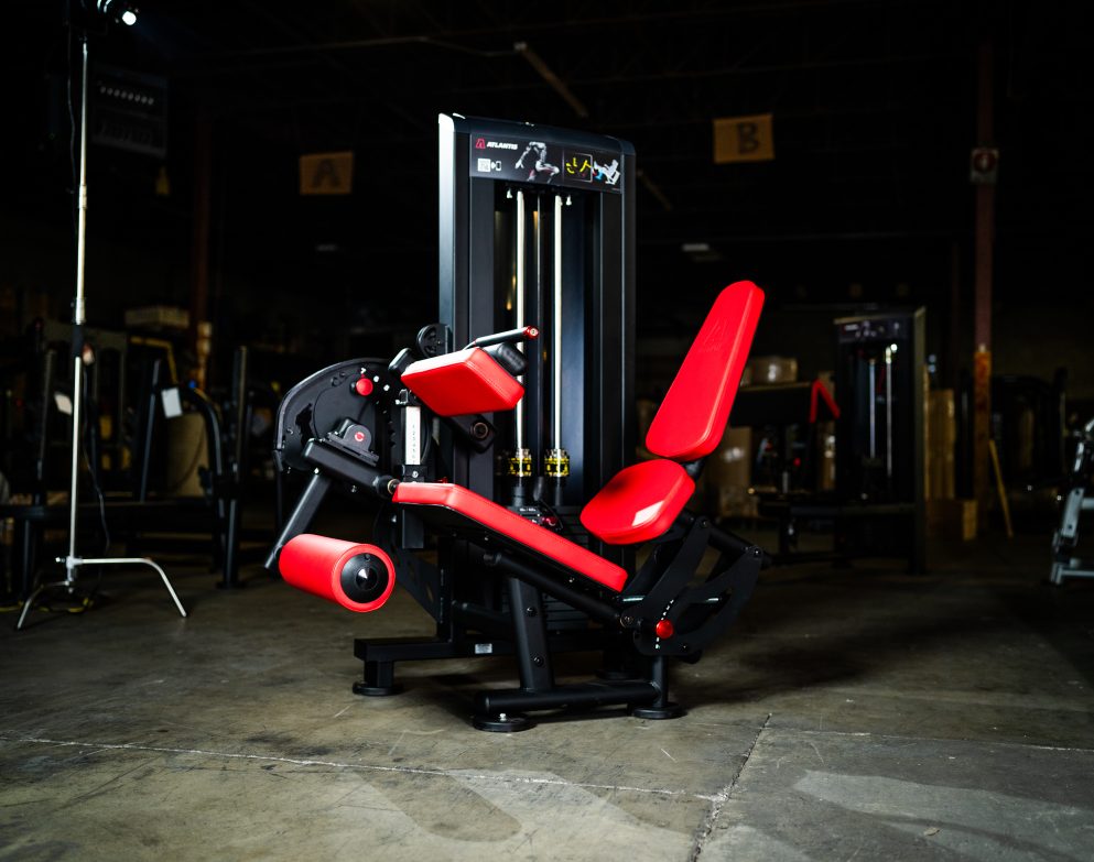 Seated Leg Curl