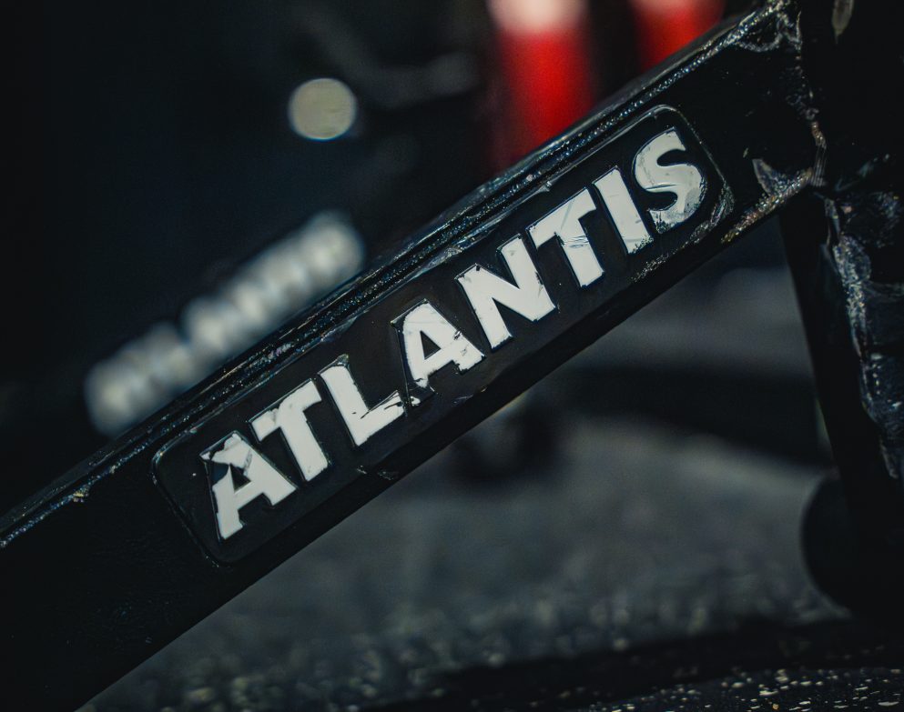 Total Hip