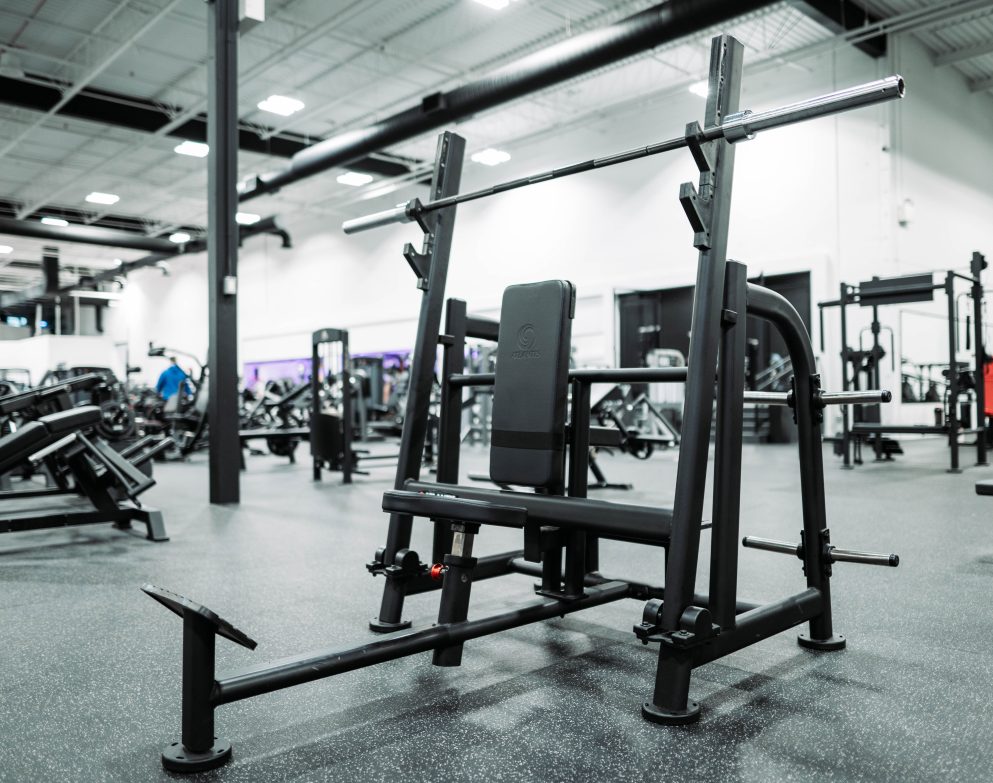 Shoulder Press (With Pivot)