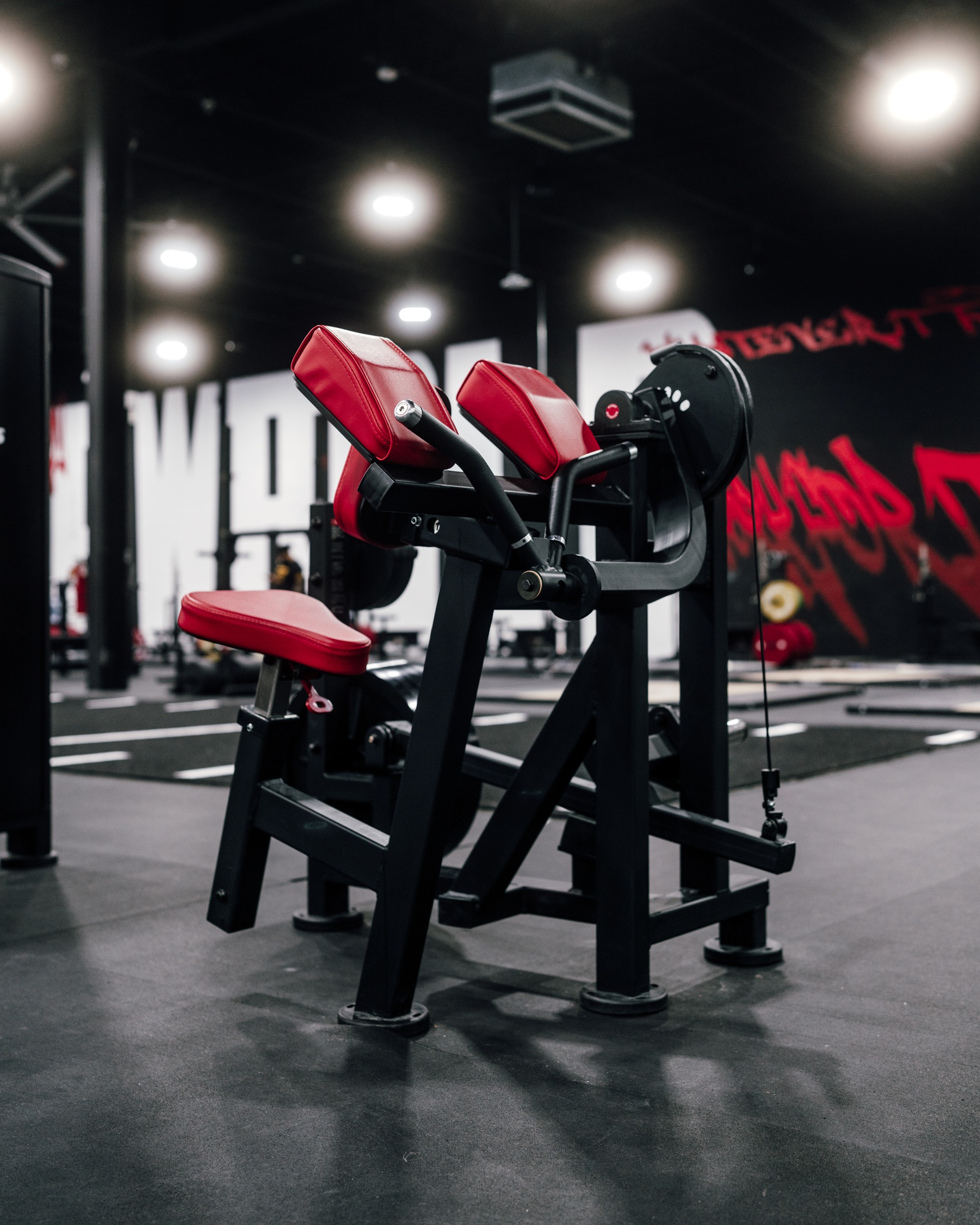 Preacher Curl