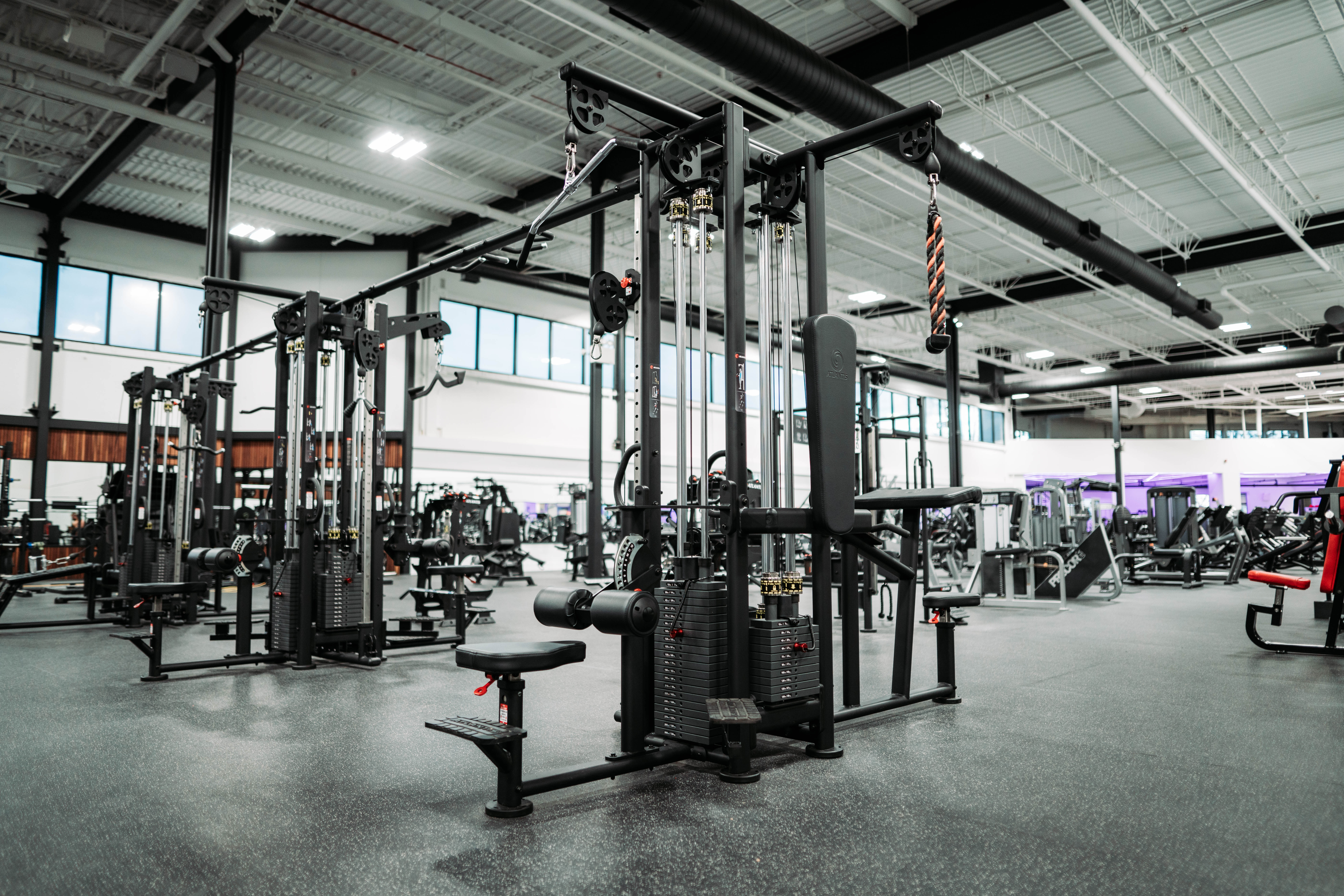 Lat Pulldown (Recoil)