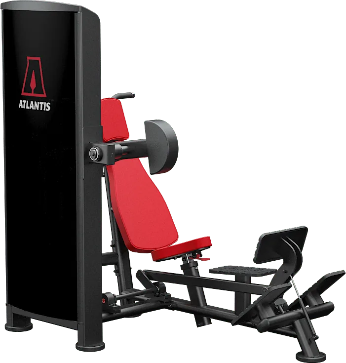 Overhead Triceps