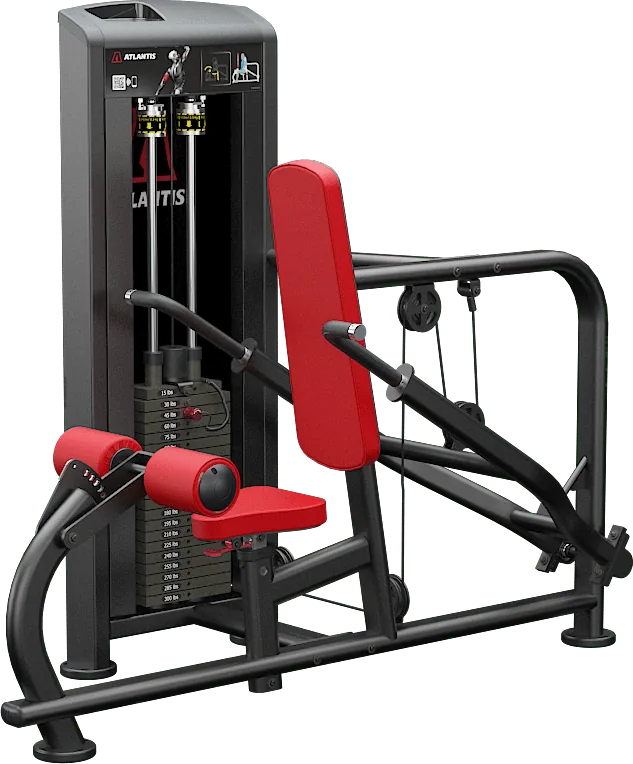 Triceps Pushdown (Selectorized)