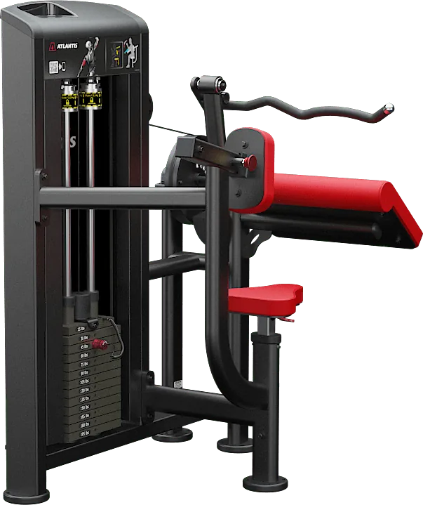 Triceps Extension