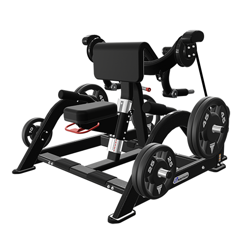 Leverage Biceps Curl