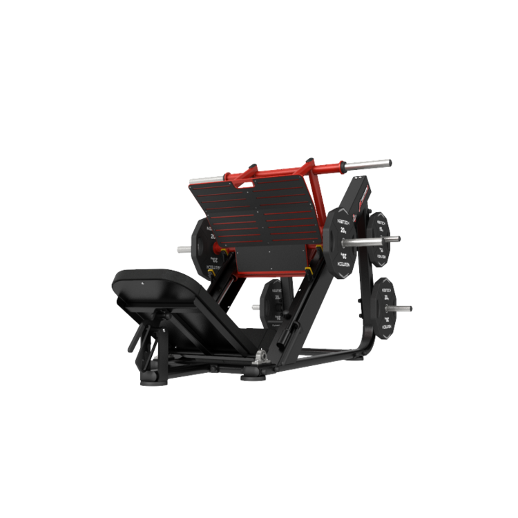 Torture Power Leg Press (Thomson)