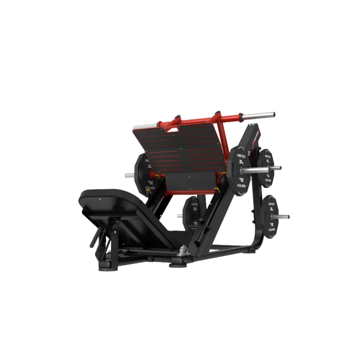 Torture Power Leg Press (Thomson)