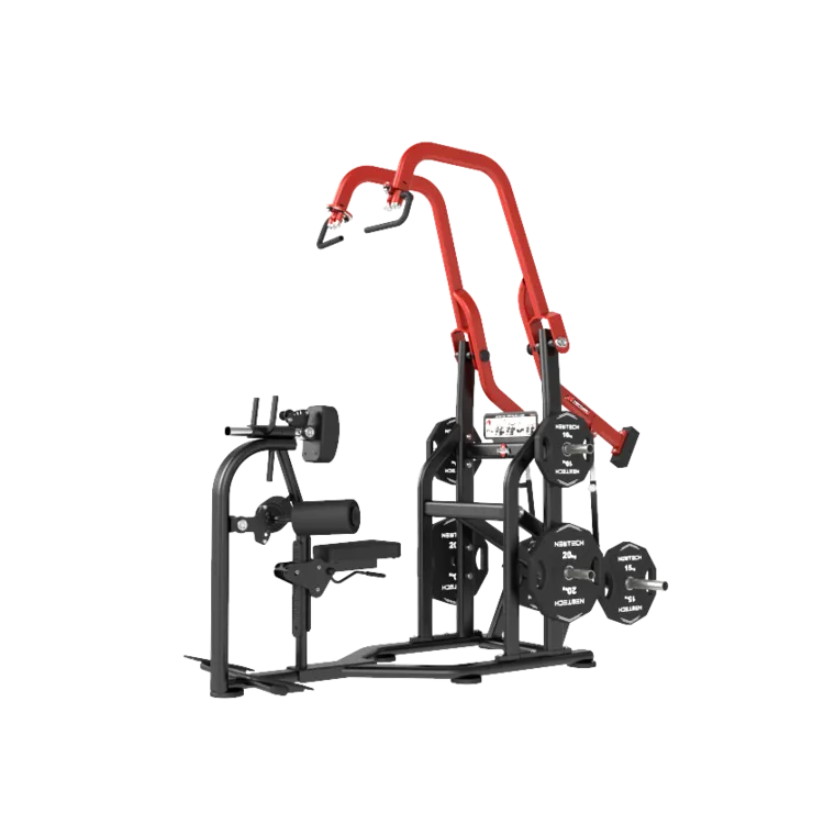 Torture Vertical Pull Down