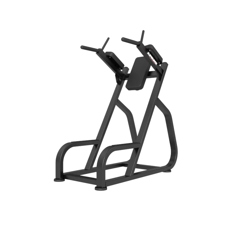 Dip & Leg Raise